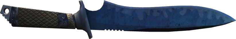 StatTrak™ Blue Steel