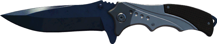 StatTrak™ Blue Steel