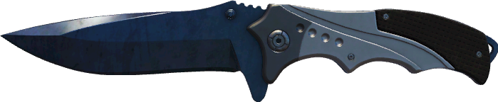 StatTrak™ Blue Steel