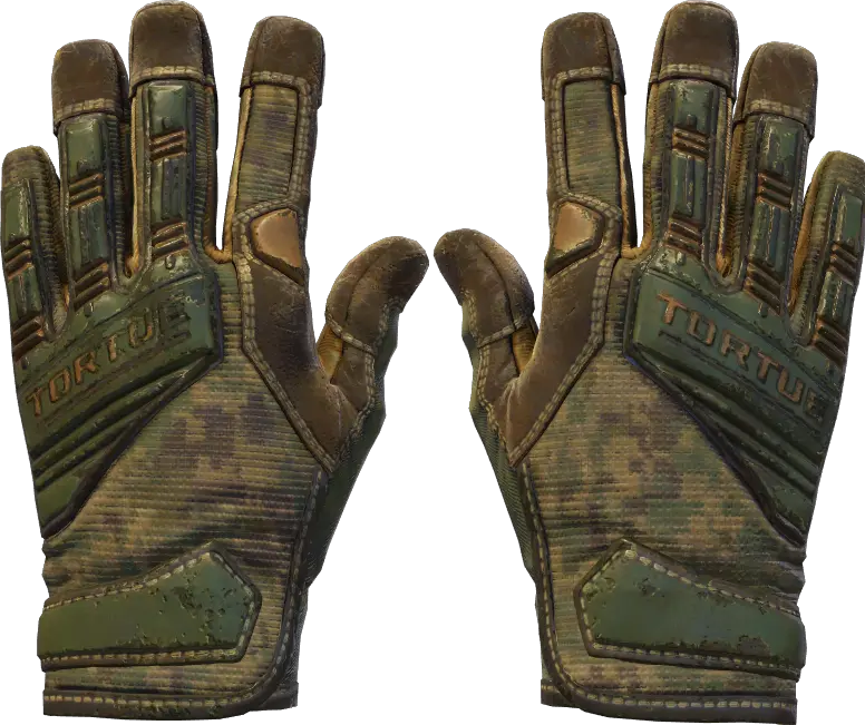 Forest DDPAT