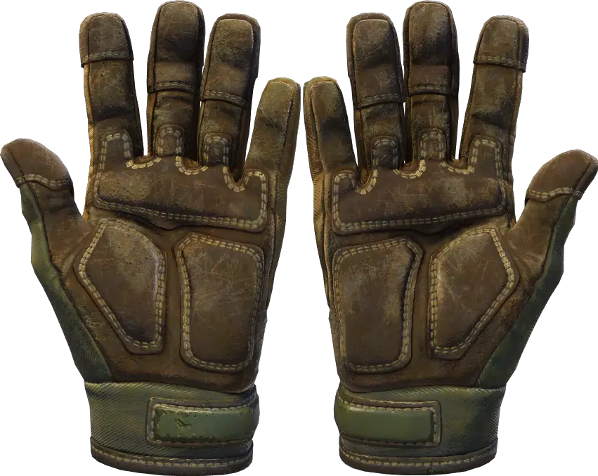 Forest DDPAT