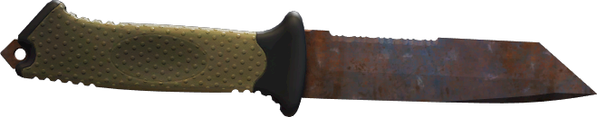 StatTrak™ Rust Coat